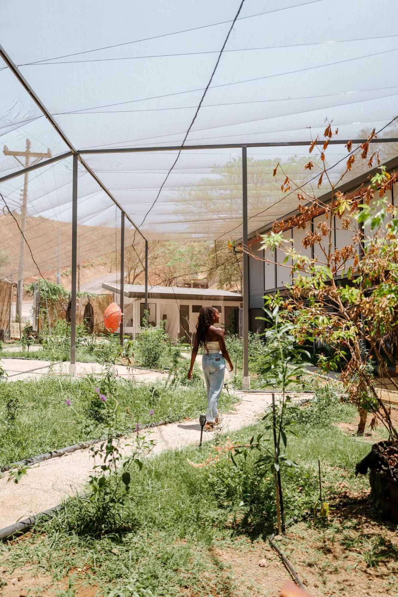 Pupa House - Capsule Hotel - Adults Only Tamarindo Luaran gambar
