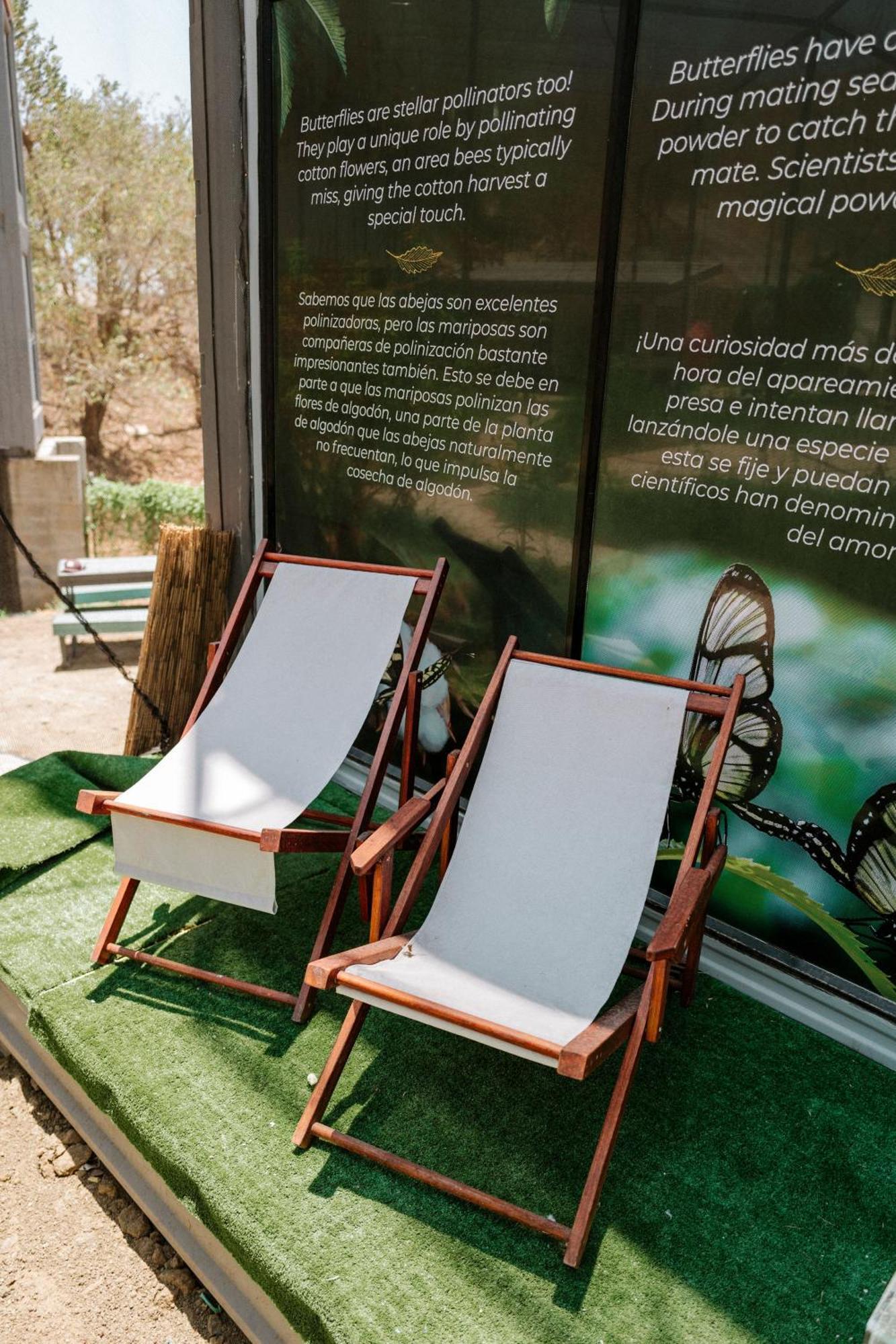 Pupa House - Capsule Hotel - Adults Only Tamarindo Luaran gambar