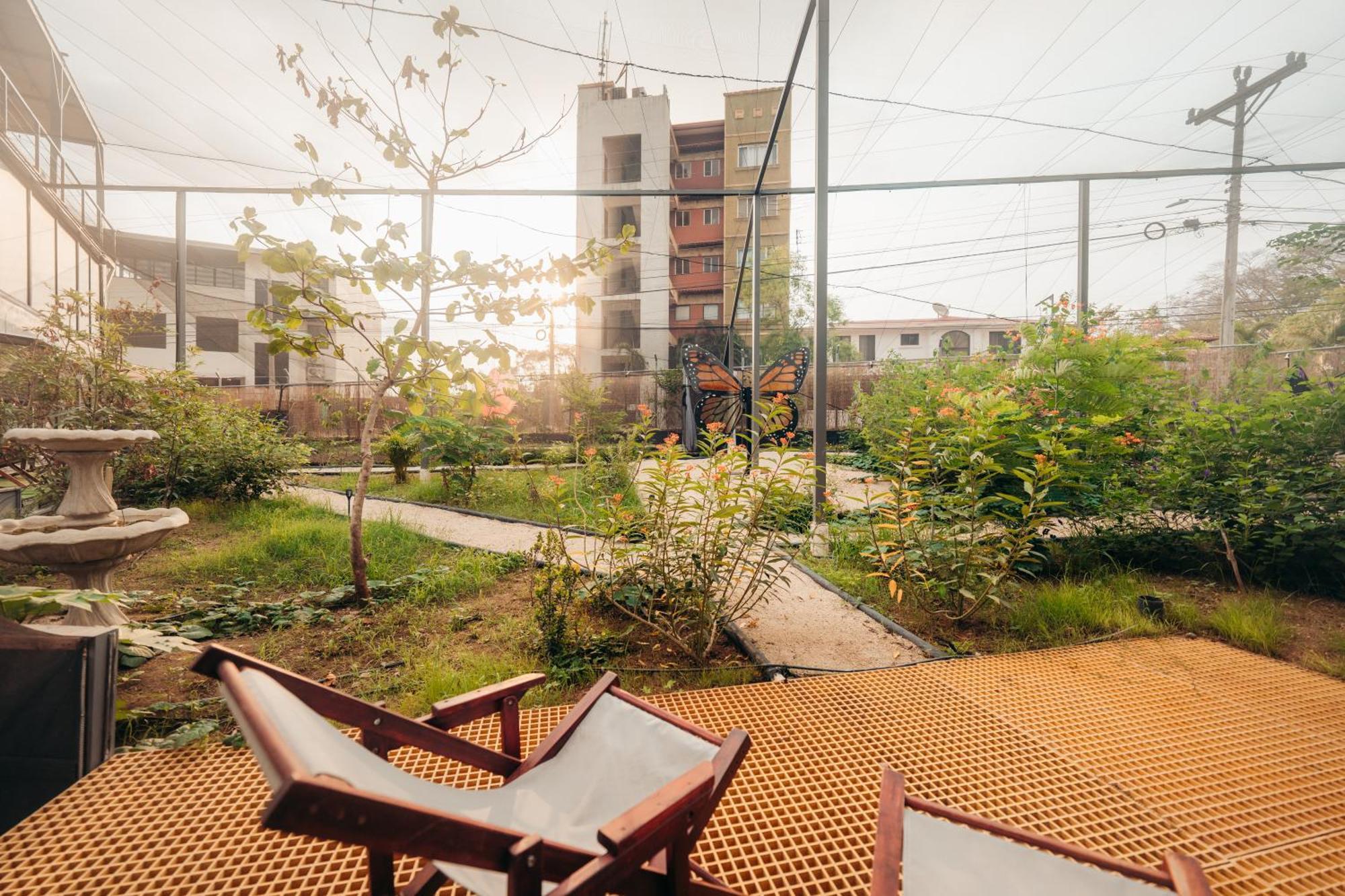 Pupa House - Capsule Hotel - Adults Only Tamarindo Luaran gambar